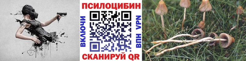 Галлюциногенные грибы Cubensis  hydra ССЫЛКА  Приморско-Ахтарск 